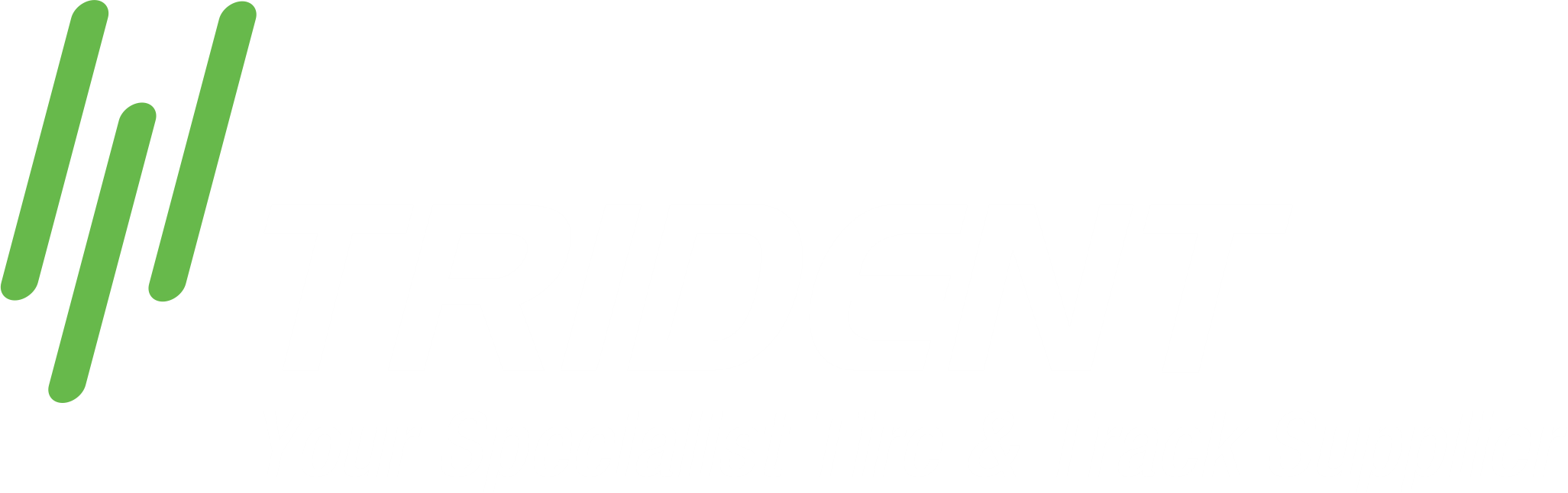 Trident International Pvt Ltd